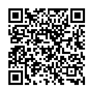 阮荷黎从他的办公室出来后就像一个准备上战场的战士二维码生成