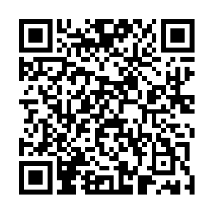阮荷黎傻傻地站在楼下还等着苏墨尘乖乖追下来赔礼道歉二维码生成