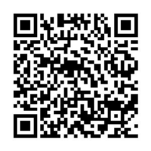 阮荷黎却一直以为芮阁又像上次一样把她一个人扔在车上二维码生成