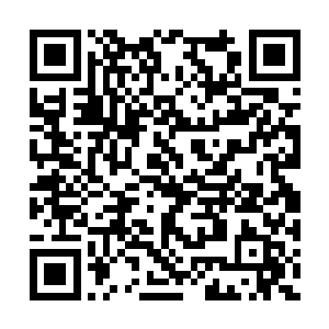 阮荷黎和乐队的临时组合虽然无法与Beyond相提并论二维码生成