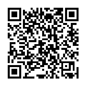 阮荷黎和苏墨尘谁也没有注意到停在角落的那辆迈巴赫二维码生成