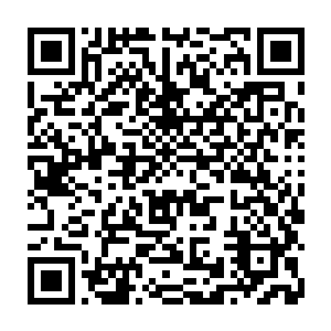 阮荷黎感觉自己只要和芮阁或是他身边的人沾上一点儿边就会变得毫无招架之力二维码生成