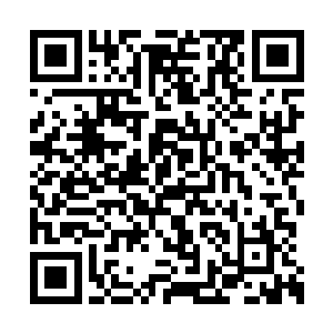 阮荷黎没想到老妈竟然这么容易就放他们进去了二维码生成