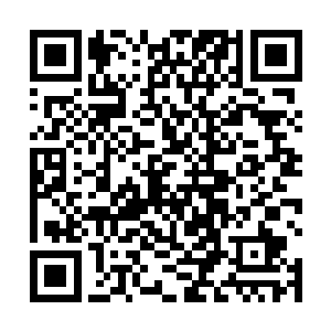 防守的力量大多调去保护自己的安全和防备窝阔被救走二维码生成