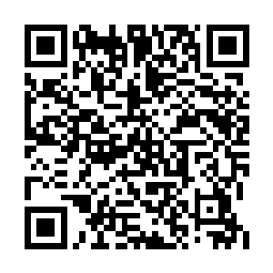 防疫啥的都是在畜牧局的技术人员指导下进行的二维码生成