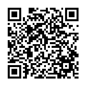 防盗门的铁栅栏等等玩意儿……几乎都是些生锈和破败的垃圾二维码生成
