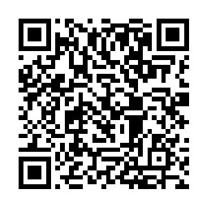 阳光在一篷篷嫩绿的树梢儿上浮起一束束绚烂的光华二维码生成