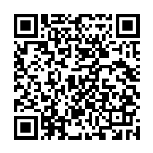 阳光足以给他提供充裕的能量又不会烧伤他稚嫩的外壳二维码生成