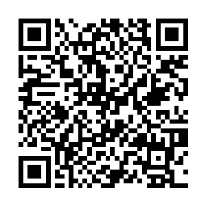 阳符篆全部爆发　瞬间震死了一个金丹巅峰的大能　二维码生成