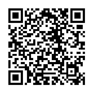 阴冷而恐怖的气势使得血海世界内的气温都降低了好几度二维码生成