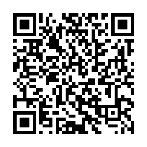 阴尸宗的这些弟子几乎都是一路在生死线冲杀上来的二维码生成