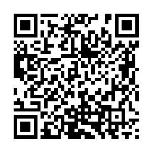 阴森诡异的邪影和九州第一杀手楚敛之联系在一起罢了二维码生成