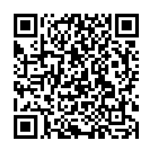 阴气的滋润让他原本僵硬的身体渐渐的又恢复了灵活二维码生成