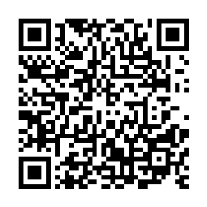 阴沉着脸和努比斯两人一同向着延森几人所在的方位飞了过来二维码生成