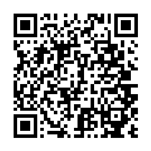 阴间五位殿主看到第二元神分身头顶上方的那道银符二维码生成