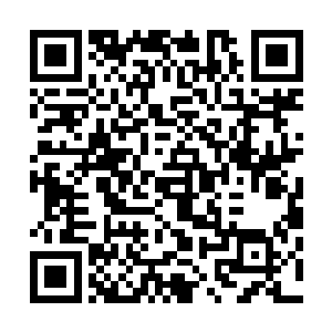 阴阳之灵对阴阳之气还有造化之力以及生命之气十分的敏感二维码生成