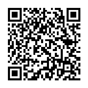 阴鬼老祖或许因为高看一眼而会让纪仟伯多活一点时间玩玩二维码生成