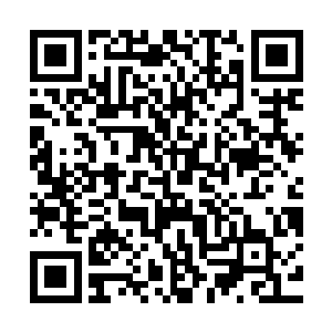 阵中的其他赤蛇殿和青蛇殿的天仙见太上长老破掉大阵一堵水墙二维码生成