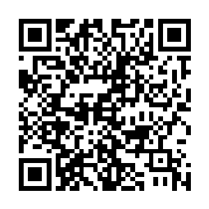 阵中阵……真正束缚你们的是先天顶阶之中的另外一套阵法二维码生成