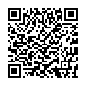 阵法中又是飞出一道雷电击在了摘花老鬼的身上二维码生成