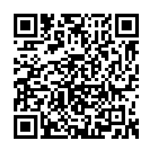 阵法在仙灵石的注入之下光芒骤然间冲破了天际二维码生成