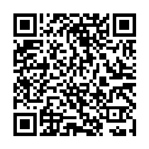 阻止钱家人帮助石家人特别是石明轩逃脱法律的制裁二维码生成