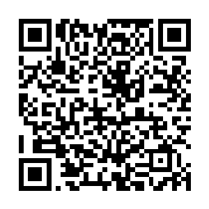 阿九再是不愿也得乘坐马车去京郊的庄子上拜见长公主二维码生成