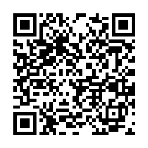 阿九只是个在一个领域稍微有点才干肯努力的女子二维码生成