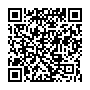 阿九将莫老太太领人上门的消息送到长公主面前不过一日二维码生成