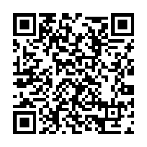 阿什莉对着镜头说出了罗维克上校想要知道的一切二维码生成