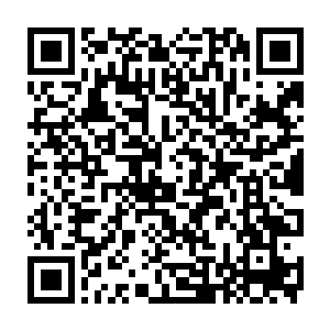 阿克琉蒂斯带着沙罗曼蛇战队以华丽到不能在华丽的方式打的莫西战队溃不成军二维码生成