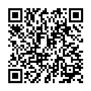阿力古之前落地的深坑当中也不见了红龙的躯体二维码生成