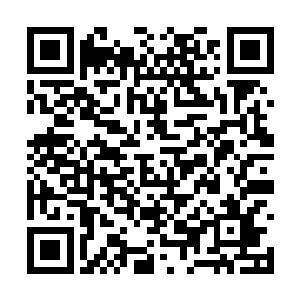 阿墨竟然在这么多短的时间为自己准备的这么妥当二维码生成