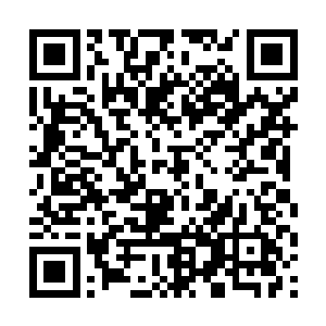 阿天少爷……这些年……你身上到底发生了什么……二维码生成