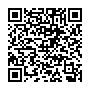 阿娣奉了二姑娘和三姑娘的命令一直在监视大姑娘二维码生成