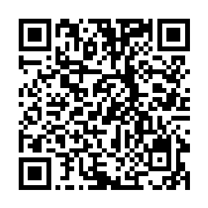 阿婵按照太太的吩咐送过来的也是更符合意境的红酒二维码生成