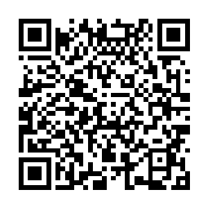 阿尔伯斯一开始有些没理解到斯内德这句话的意思二维码生成