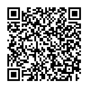 阿尔伯特和安迪何开着一辆同样经过改造过的车已经停在了商务车之旁二维码生成
