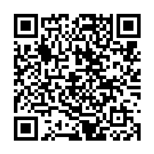 阿尔弗雷德最终在佛罗伦萨一家咖啡店碰见布鲁斯二维码生成