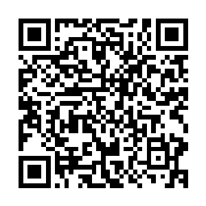 阿尔戈斯没想到自己埋藏的情绪居然会被这名机器人察觉到了二维码生成
