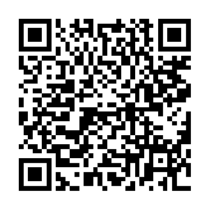 阿尔斯楞看着陈小练只用了一只手就把自己的背包提了起来二维码生成