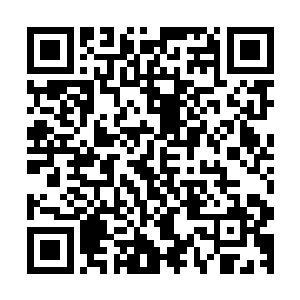 阿尔法一行便对陌生机器人的情况有了一个详尽而全面的了解二维码生成