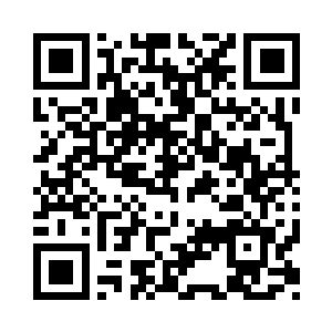 阿尔法不失时机的从旁边端出来一个盒子二维码生成