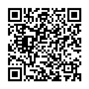 阿尔法从随身的包里拿出了一个略带弧形方盒子一样的绿色地雷二维码生成