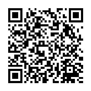 阿尔法他们还从尤斯塔沙上拿回了很多可以再利用的工具和材料二维码生成
