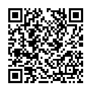 阿尔法在自家人所有人身上放置了特殊的定位装置二维码生成