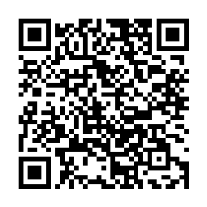 阿尔法大伯他们会用交换的方法给这头幼崽送零食二维码生成