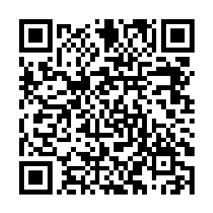 阿尔法此刻的注意力完全被派发现的可疑目标吸引了二维码生成