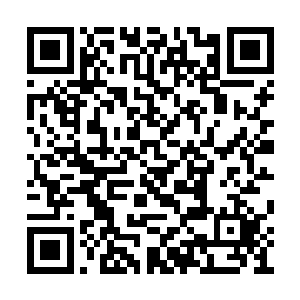 阿强一脸笑嘻嘻邀功般地先跑到鸡哥的包厢面前二维码生成