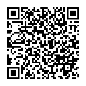 阿德耶夫人曾经亲口在面相全国的电视演说中宣布要结束军政府的统治二维码生成